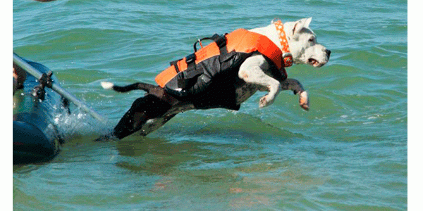 Yukon Надежный спасжилет для собаки Yukon Спасатель