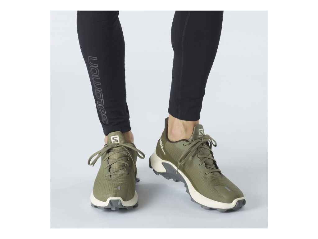 Salomon Спортивные кроссовки Salomon Alphacross 3 GTX