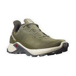 Salomon Спортивные кроссовки Salomon Alphacross 3 GTX