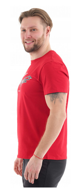 DRAGONFLY Мужская футболка с принтом Dragonfly Chain (M)