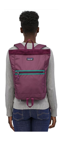 Технологичный рюкзак Patagonia Arbor Market Pack 15