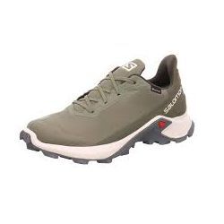 Salomon Спортивные кроссовки Salomon Alphacross 3 GTX