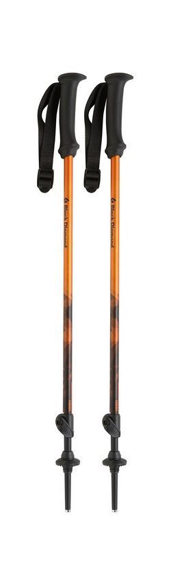 Black Diamond Детские треккинговые палки Black Diamond First Strike Trekking Poles