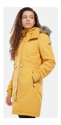 The North Face Городская куртка женская The North Face Zaneck Parka 