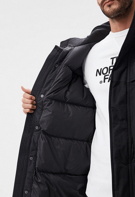 The North Face Аляска ветрозащитная The North Face Mcmurdo Parka 2