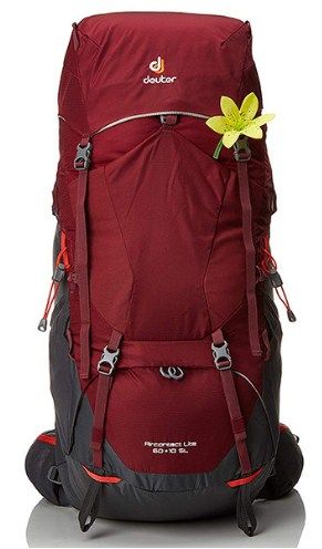 Deuter Рюкзак женский для горного туризма Deuter Aircontact Lite 60+10 SL