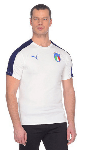 Puma Термофутболка легкая Puma FIGC Italia Stadium Jersey