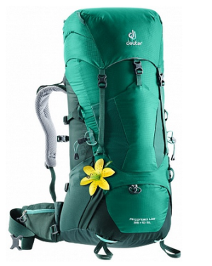 Рюкзак практичный Deuter Aircontact Lite 35+10 SL