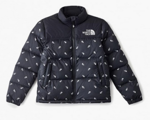 Стильный детский пуховик The North Face Y Retro Nuptse