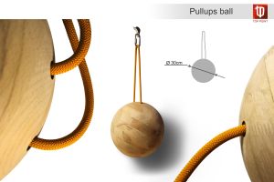 Качественный тренажер для пальцев и рук Top Point Pullups Ball