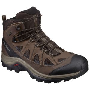 Удобные ботинки Salomon Shoes authentic ltr gtx® 
