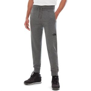 Удобные мужские брюки The North Face Nse Light Pant Tnf Me Gr He