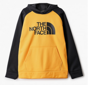 Стильное детское худи для мальчиков The North Face Surgent Pullover Hoodie