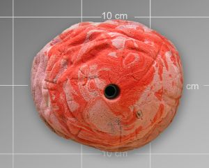 Зацеп для скалодромов Top Point #039