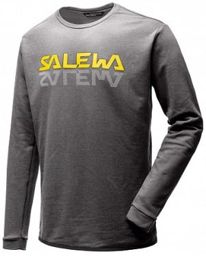 Лонгслив мужской Salewa 2018 Reflection Dri-Rel M Swtr
