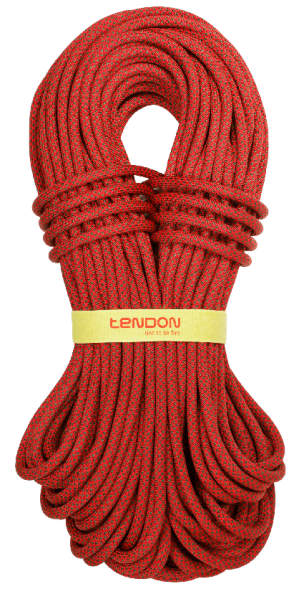 Прочная веревка Tendon Ambition 10 Standard