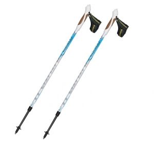 Палки для скандинавской ходьбы Masters Training