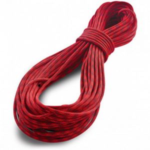 Прочная веревка Tendon Ambition 7.9 Standard