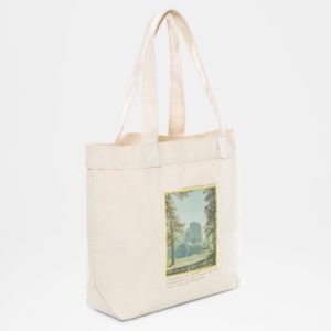 Надежная сумка The North Face Cotton Tote