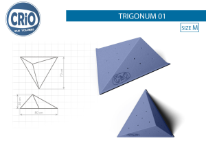 Надежный рельеф для скалолазания Crio Holds Trigonum 01