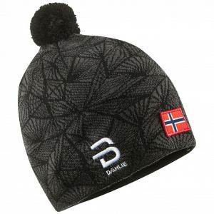 Шапка для занятий спортом Bjorn Daehlie 2017-18 Hat Press