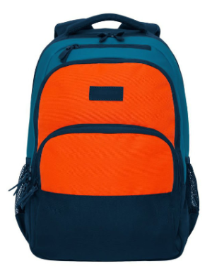 Рюкзак молодежный Grizzly 17