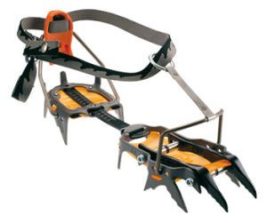 Кошки Cassin C14