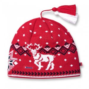 Шапка традиционная Kama 2018-19 AW09