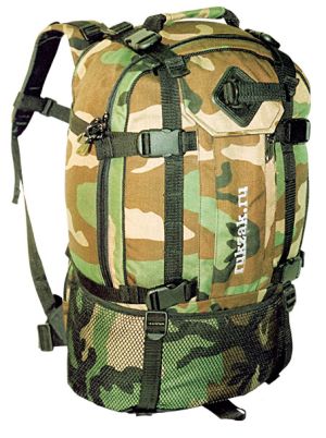 Рюкзак Альпина с сеткой Терра 1 38