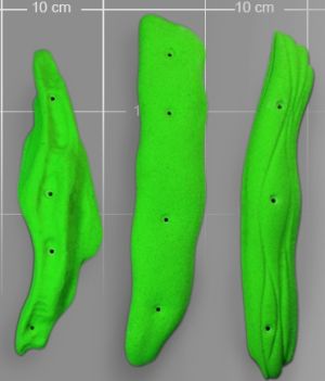 Зацепы для скалодромов Top Point #101