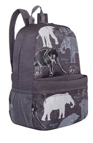 Grizzly Молодежный рюкзак с принтом Grizzly 14