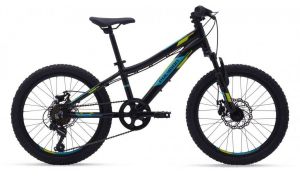 Спортивный велосипед Polygon Relic20 20