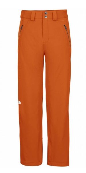 Зимние брюки для мужчин The North Face M Mansell