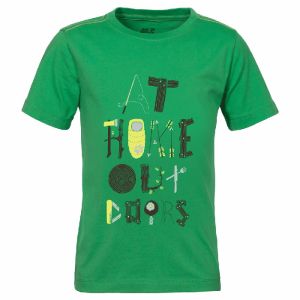 Футболка летняя для мальчиков Jack Wolfskin Wilderness T B