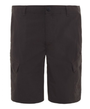 Шорты для путешествий The North Face Horizon