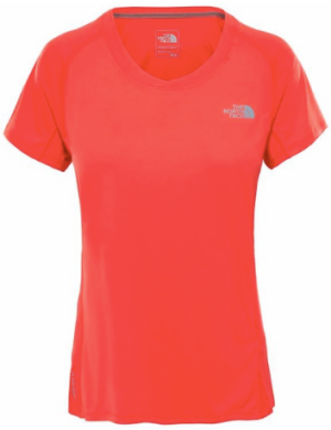 Стильная футболка The North Face Ambition SS