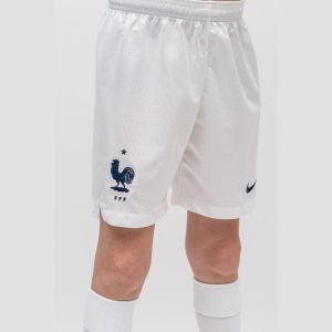 Детские шорты для спорта Nike FFF Y NK BRT STAD SHORT HM