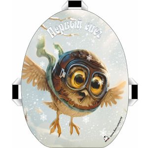 Детские санки ледянки см Барс - Snowkid 50