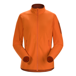 Куртка Arcteryx Delta LT