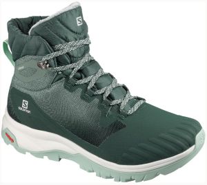 Женские тёплые ботинки Salomon Vaya Blaze TS CSWP