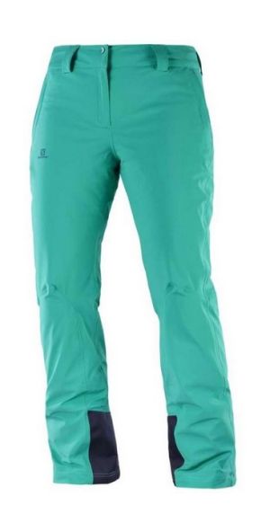 Спортивные брюки для женщин Salomon Ice Mania