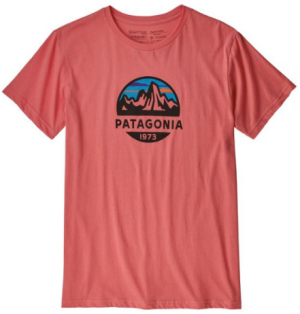 Легкая футболка из хлопка Patagonia Fitz Roy Scope Organic T-Shirt