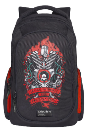 Рюкзак удобный Grizzly 26