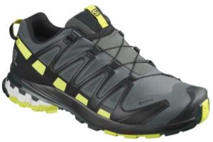 Кроссовки мужские Salomon XA PRO 3D v8 GTX