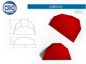 Формовой рельеф для скалолазания Crio Holds Lobulus