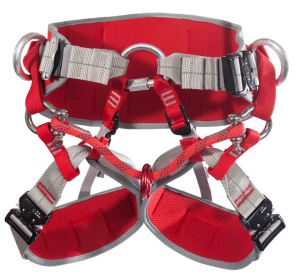 Беседка для работы в раскидистых кронах Пихта Венто 2019