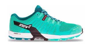 Спортивные кроссовки для женщин Inov-8 Roclite 290