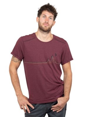 Футболка для активного отдыха Chillaz Street Mountain Line