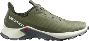 Спортивные кроссовки Salomon Alphacross 3 GTX