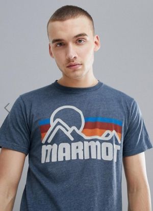 Футболка с винтажным логотипом на груди Marmot Coastal